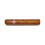 Montecristo Edmundo - Image 2