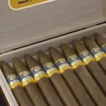 Cohiba Piramides Extra